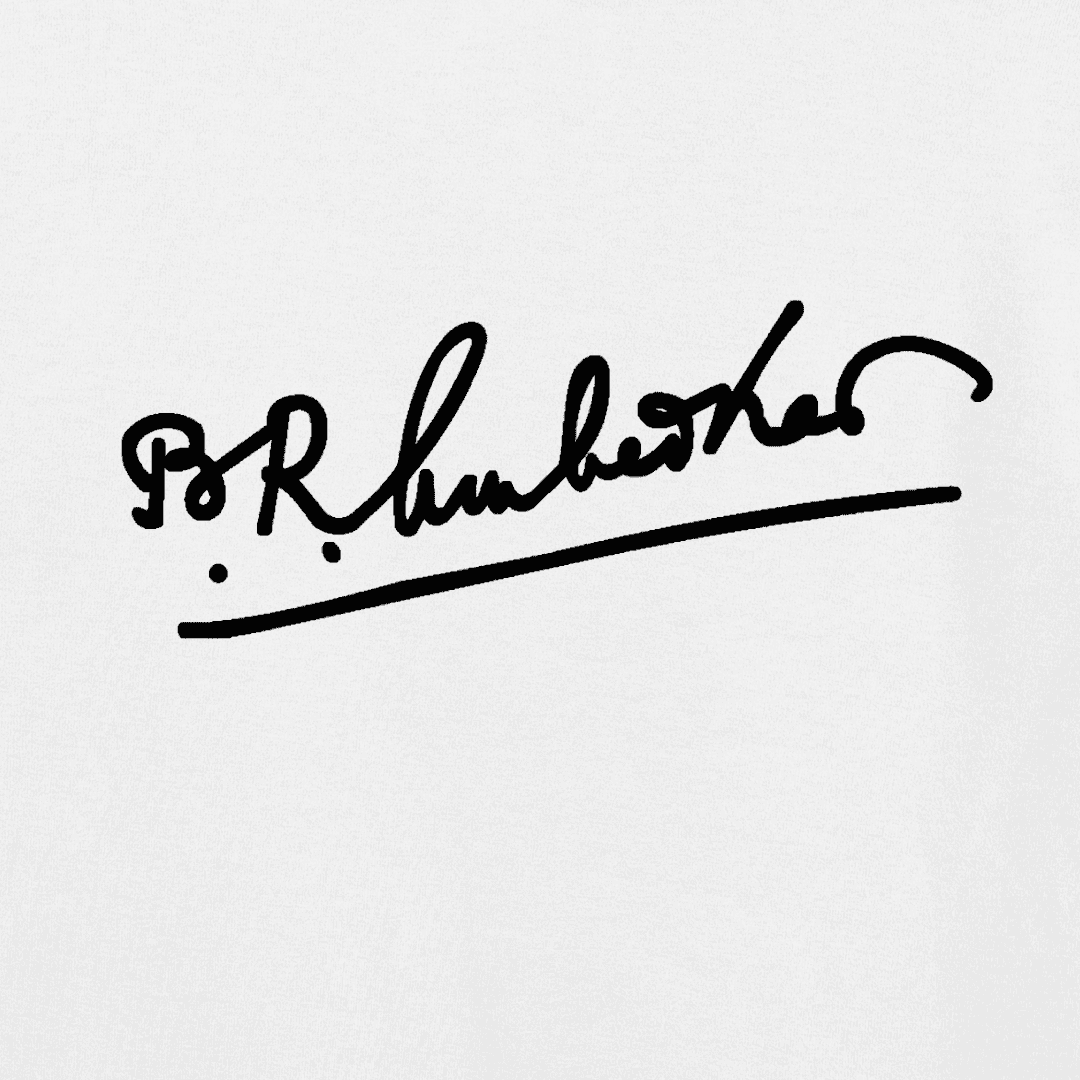 Vibetara - Baba Saheb Ambedkar Signature T-Shirt - Oversized Casual Wear - Round Neck - For Men And Women
