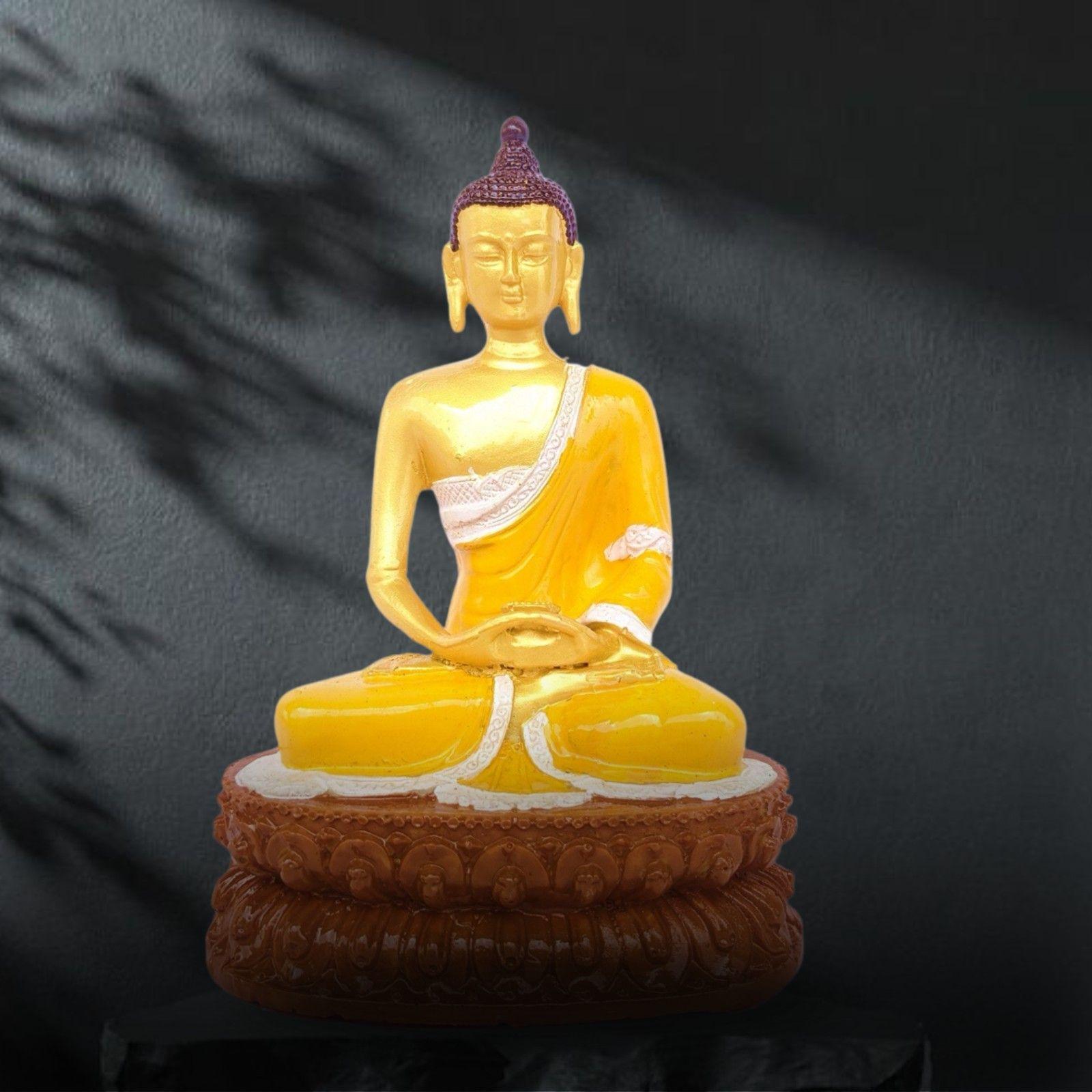 Product Back Image
